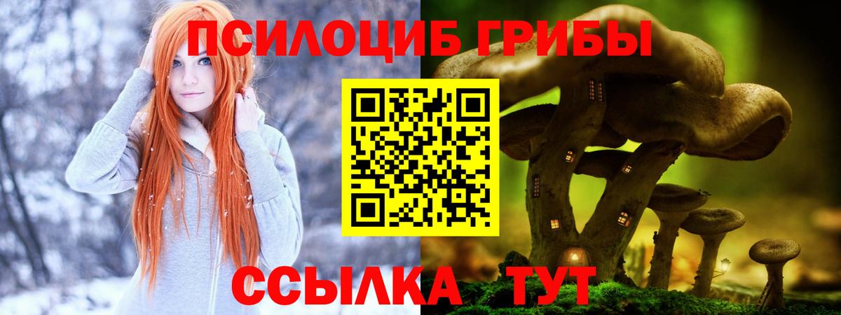 Архангельск  Галлюциногенные грибы мухоморы  Вход с VPN 